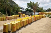 Gạo Việt Nam bị cạnh tranh ở thị trường Philippines