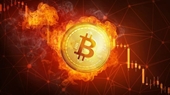 100 ngày trong vòng xoáy Bitcoin