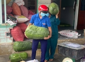 Người Bình Định gửi tặng bí đao khổng lồ cho bà con TP HCM