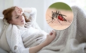 Các bài thuốc phòng trị bệnh sốt rét