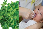 Món ăn trị bệnh từ rau ngót