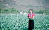 Nữ nông dân hưởng lợi nhờ ứng dụng công nghệ trong sản xuất nông nghiệp