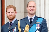 Cháu nội Nữ hoàng Anh - William Hành vi của vợ chồng Harry là ‘thiếu tôn trọng’