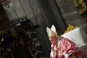 Giáo hoàng Francis cắt lương hồng y để nhân viên Vatican không bị mất việc