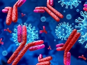 Người có siêu kháng thể diệt virus SARS-CoV-2 dù pha loãng máu 10 000 lần
