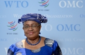 Tổng giám đốc WTO Đã có tiến triển về bỏ bản quyền vắc xin COVID-19