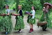 Tuyệt chiêu bán rau của 4 phụ nữ nông thôn Trung Quốc