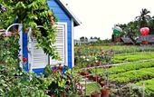 Yêu xa cả ngàn cây số, bạn trai vẫn kịch liệt đòi  trao thân