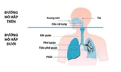 Tập luyện nâng cao sức khỏe hệ hô hấp trong mùa dịch COVID-19