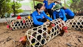 Nông dân Yên Bái tặng Hà Nội 500 con gà, cả bản thần tốc đan lồng