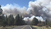 Mỹ Hàng trăm người sơ tán do cháy rừng lớn tại bang Arizona