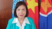 Việt Nam ủng hộ vai trò của UNCTAD hỗ trợ các nước đang phát triển