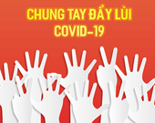 Cộng đồng người Việt Nam tại Đức ủng hộ Việt Nam phòng, chống dịch Covid-19
