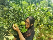 Kẹt lại Việt Nam vì dịch, người phụ nữ mua đất trồng trái cây sạch