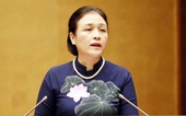 Bà Nguyễn Phương Nga  Đối ngoại nhân dân cần linh hoạt, thích ứng với tình hình mới