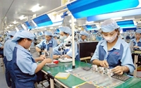 Lao động Việt Nam đi làm việc tại Đài Loan được mua bảo hiểm Covid-19
