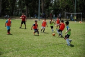 Học viện bóng đá gắn kết người gốc Việt ở Australia