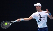 Việt kiều ở Australia ủng hộ trục xuất Djokovic