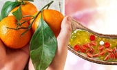 Vỏ trái cây họ cam quýt giúp giảm 40 cholesterol có hại