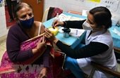 Chuyên gia Ấn Độ cảnh báo nguy cơ tái mắc COVID-19 chỉ sau 2-3 tuần