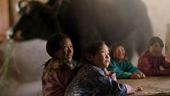 Đề cử Oscar 2022 Phim đồng tính nam dẫn đầu đề cử, điện ảnh Bhutan gây bất ngờ