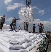 Giá gạo Việt xuất khẩu tăng mạnh nhất