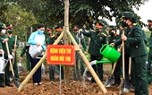 Hội LHPN Việt Nam Phát động trồng 130 000 cây xanh, góp phần phủ xanh nhiều vùng miền cả nước
