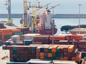 30 container điều mất kiểm soát được trả cho doanh nghiệp Việt