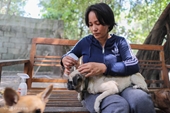 Người phụ nữ làm trại nuôi 500 chó mèo cứu hộ