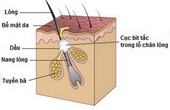 Cách làm sạch và ngăn ngừa tắc lỗ chân lông