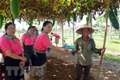 Báo Vientiane Times Quan hệ Lào-Việt Nam ngày càng sâu sắc