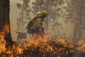 Hàng nghìn người sơ tán vì cháy rừng California