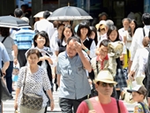 Người Nhật đổ xô mua bảo hiểm say nắng
