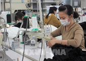 Nhật Bản tìm cách giảm phí môi giới cho các thực tập sinh Việt Nam