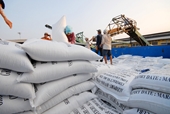 Giá gạo Việt và Thái đổi ngôi quanh mốc 400 USD