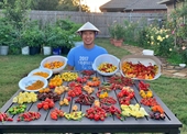 Chàng trai Việt trồng hơn 500 loại ớt trên đất Mỹ