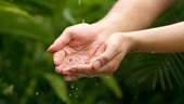 Nghiên cứu mới Nước mưa trên khắp hành tinh không an toàn để uống