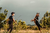 Bỏ việc ở châu Âu về Việt Nam mở trại huấn luyện chó