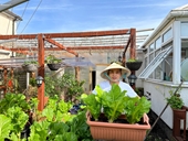 Khu vườn trồng hơn 100 loại rau củ Việt của ông bố ở Anh
