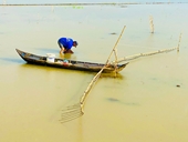 Hạn hán ở Trung Quốc tác động đến mùa lũ sông Mê Kông