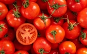 7 cách chế biến cà chua phòng, chống bệnh tật