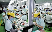 Thị trường nào hút lao động Việt Châu Âu rộng cửa