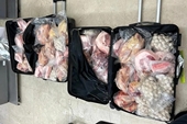 Bị phạt hơn 12 000 USD vì mang 8 vali thịt đến sân bay Singapore