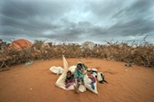 Somalia Hạn hán và đói khát khiến người già, khuyết tật bỏ nhà ra đi