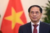 Việt Nam luôn thúc đẩy quyền con người cả trong nước và trên thế giới