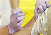 Nhật Bản tiêm vaccine phòng biến thể phụ BA 5 của Omicron cho người dân