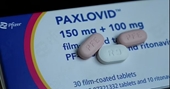 Thuốc trị COVID-19 của Pfizer có thể gây huyết khối chết người