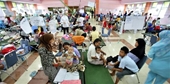 Indonesia phát hiện hợp chất gây rối loạn bệnh thận cấp tính