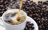 Cà phê đen bao nhiêu calo Lợi ích khi uống
