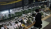 Vụ giẫm đạp tại Seoul Tổ chức lễ viếng công dân Việt Nam thiệt mạng